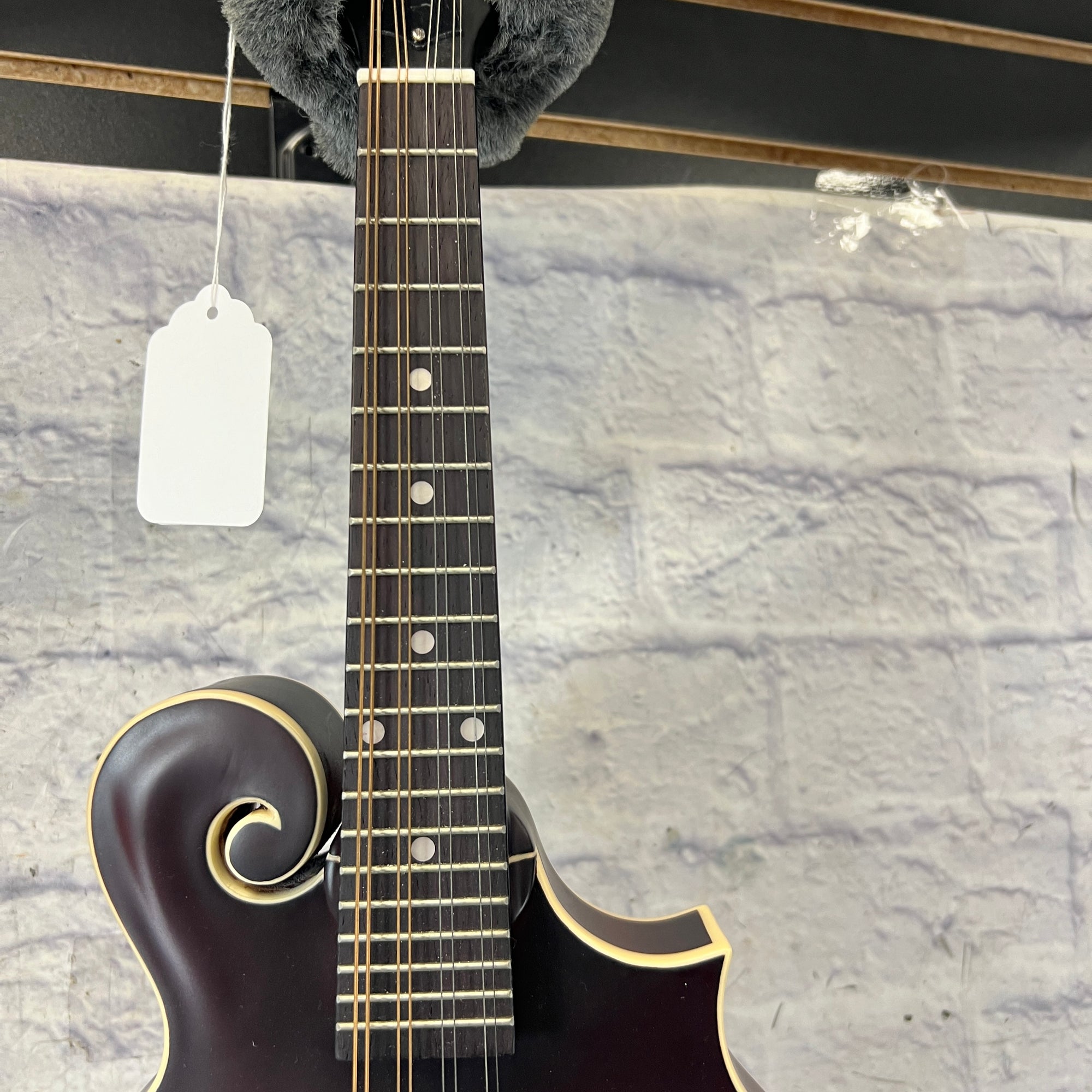Loar LM-310F F Style Mandolin