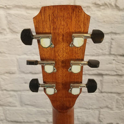 Austin AA50-D Acoustic Guitar