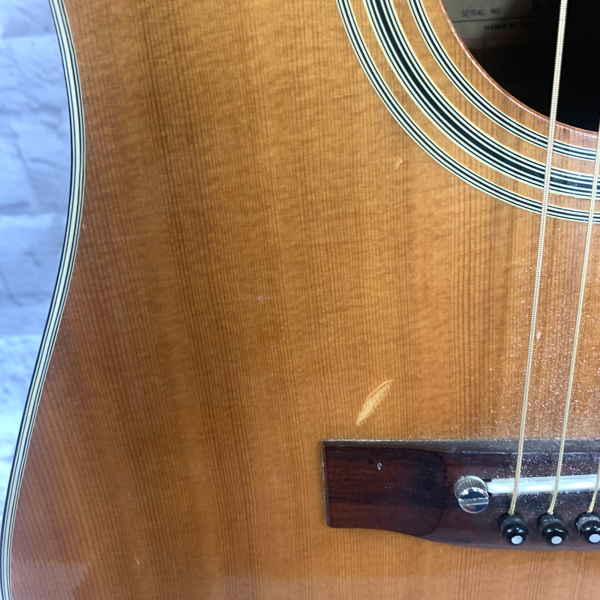 1980'S SIGMA DM3 Acoustic Guitar - Evolution Music