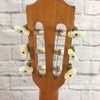Fender ESC105 Classical w/ Road Runner Case