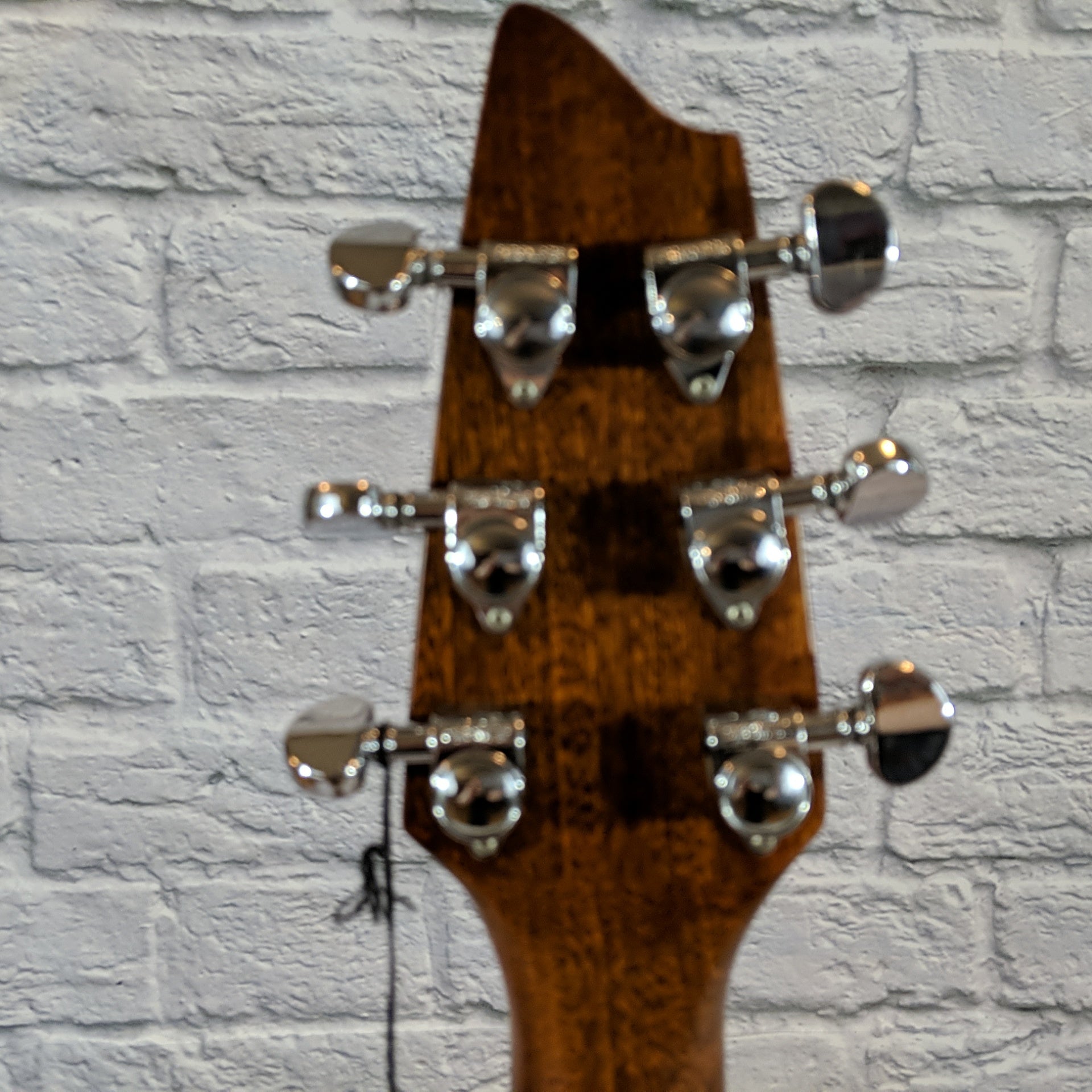 Breedlove AC200/SM Acoustic Guitar - New Old Stock