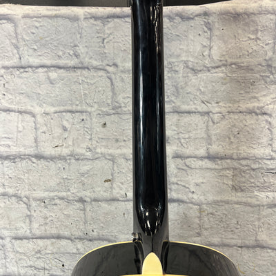 Maestro Acoustic Guitar