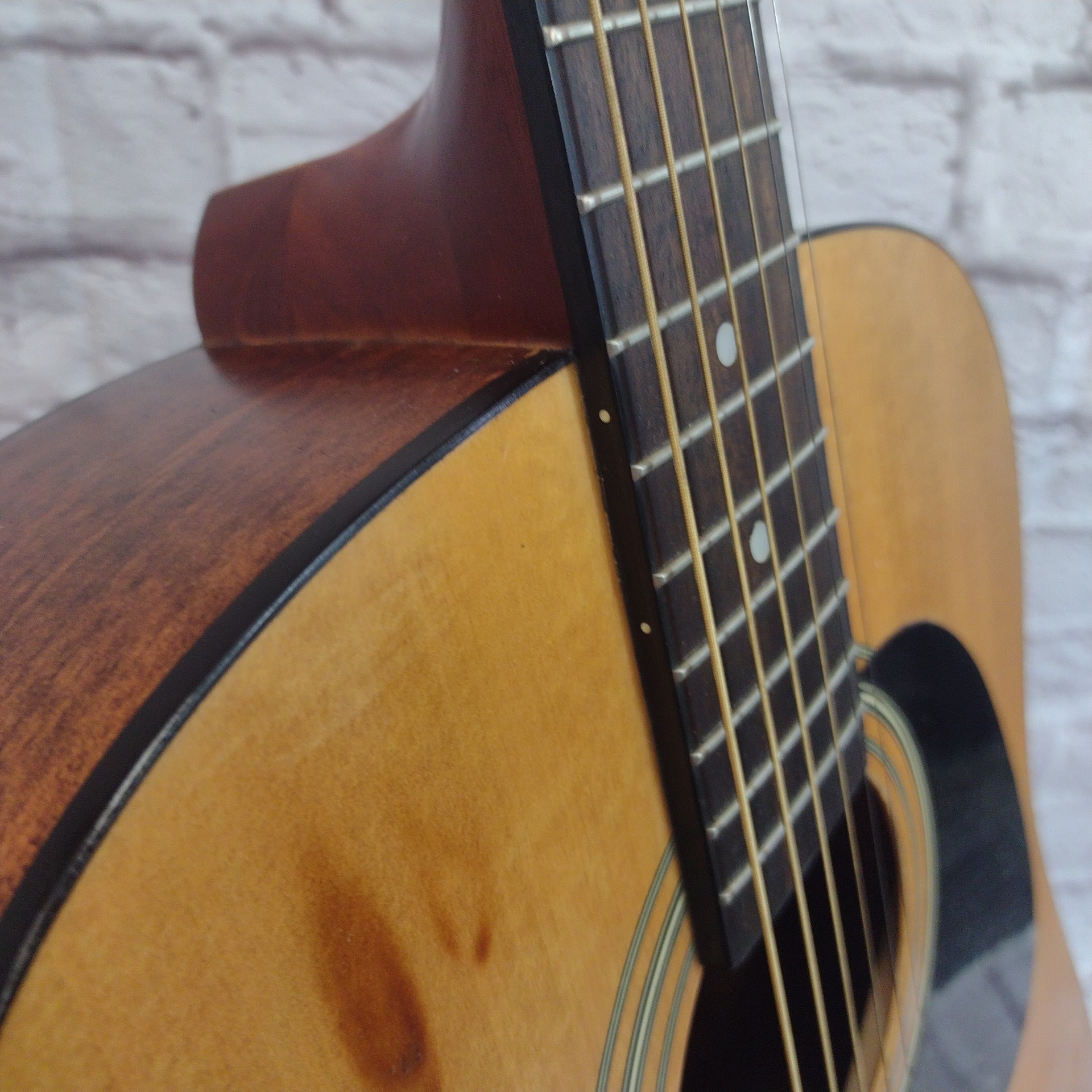 Jasmine S-35 Acoustic Guitar