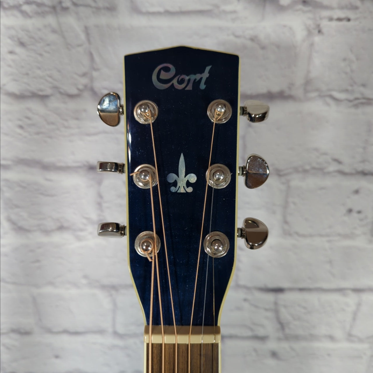 Cort MR 727F Korean Dreadnought  Blue Acoustic Guitar
