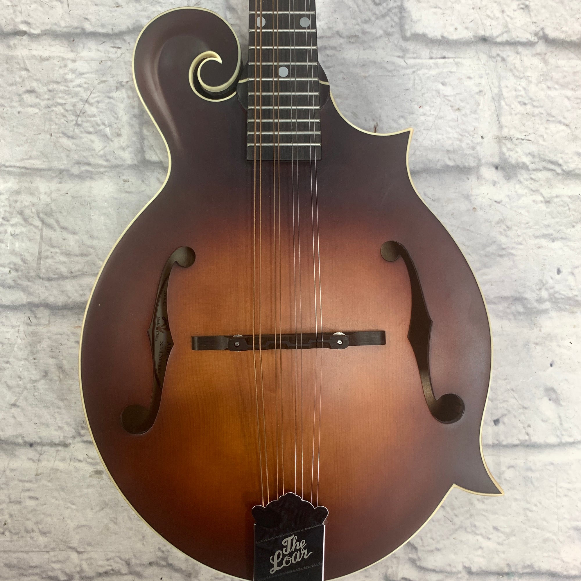 Loar Mandolin LM-31cf-BRB