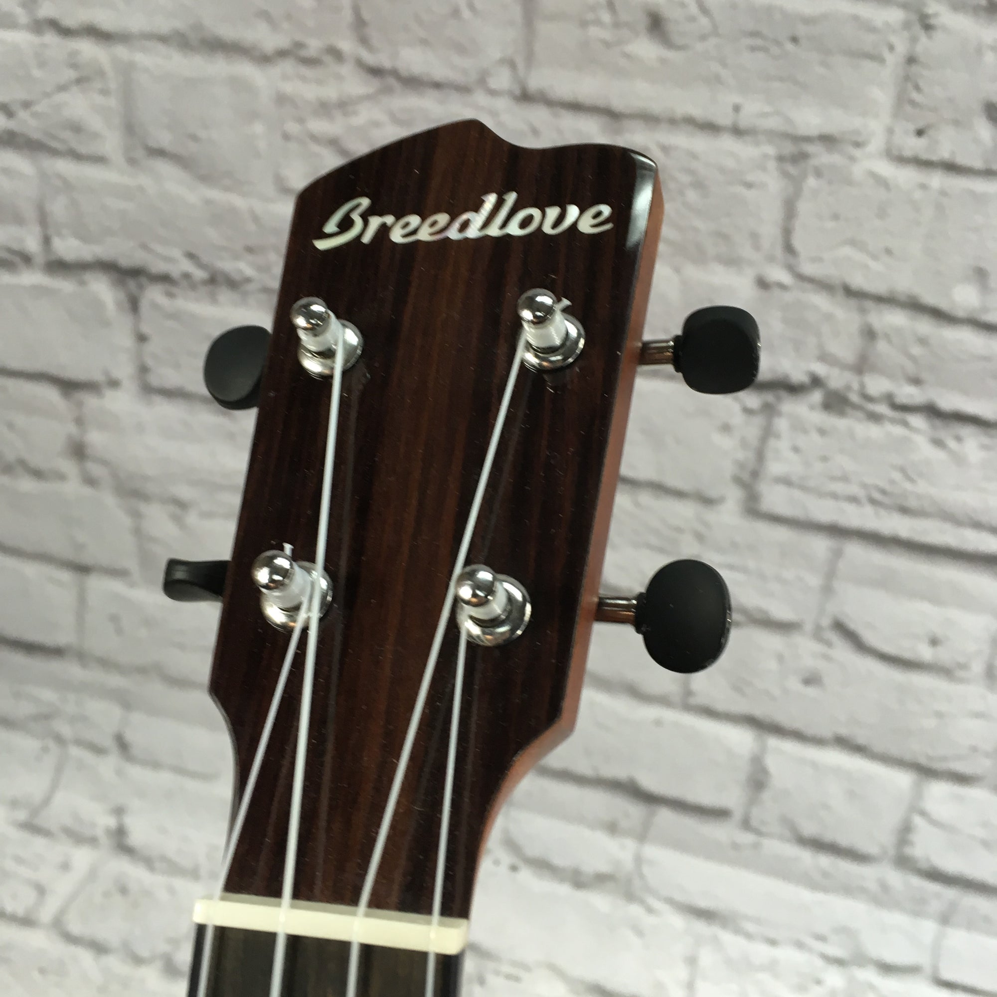 Breedlove Ex Cu Ce Bo Concert Ukulele