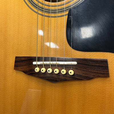 Ibanez PF50 Dreadnaught Acoustic Guitar