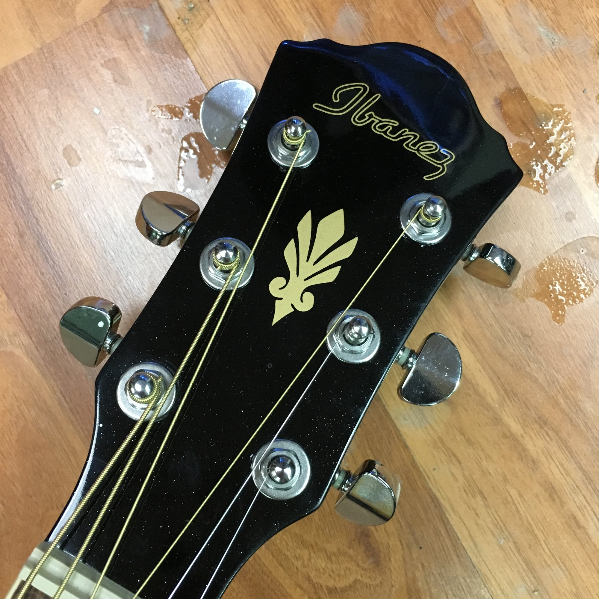 Ibanez AEG5E Thinline Acoustic Electric