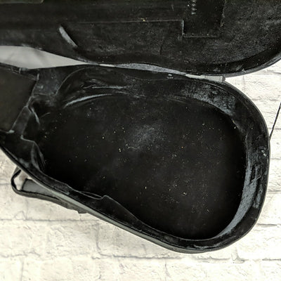 Unknown Foam Case  Acoustic Guitar