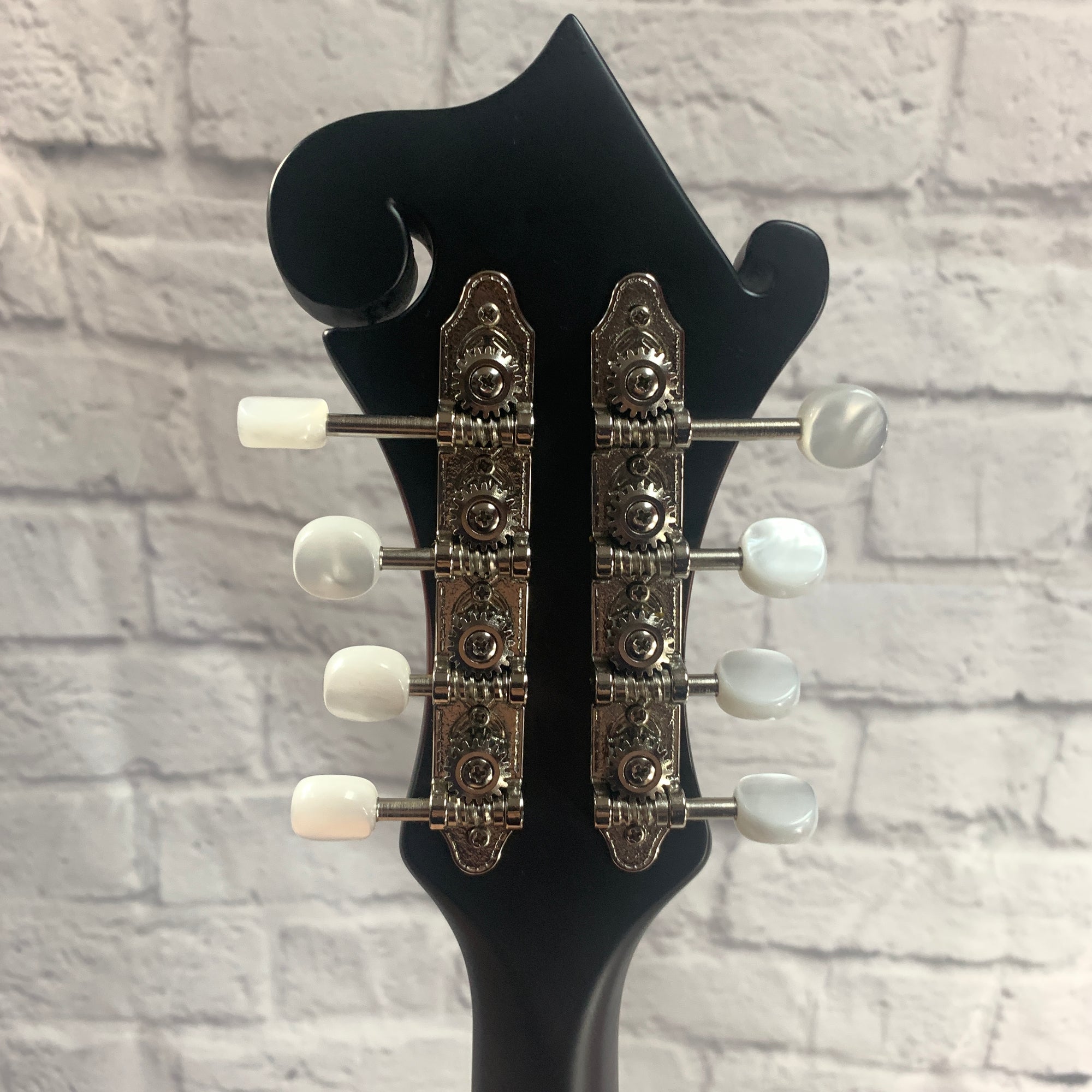 Loar LM310F F Style Mandolin