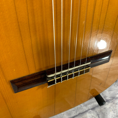 Hohner HG14 Classical Acoustic Guitar