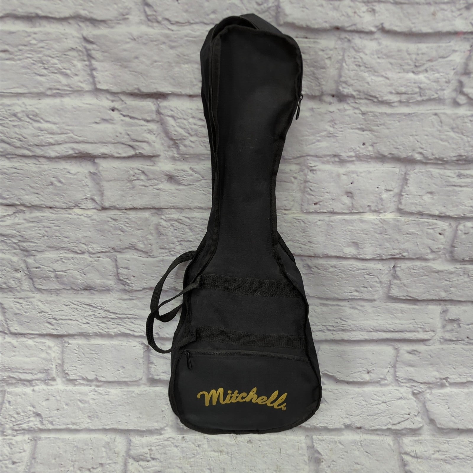 Mitchell MDJ-10 Mini Acoustic W/soft case