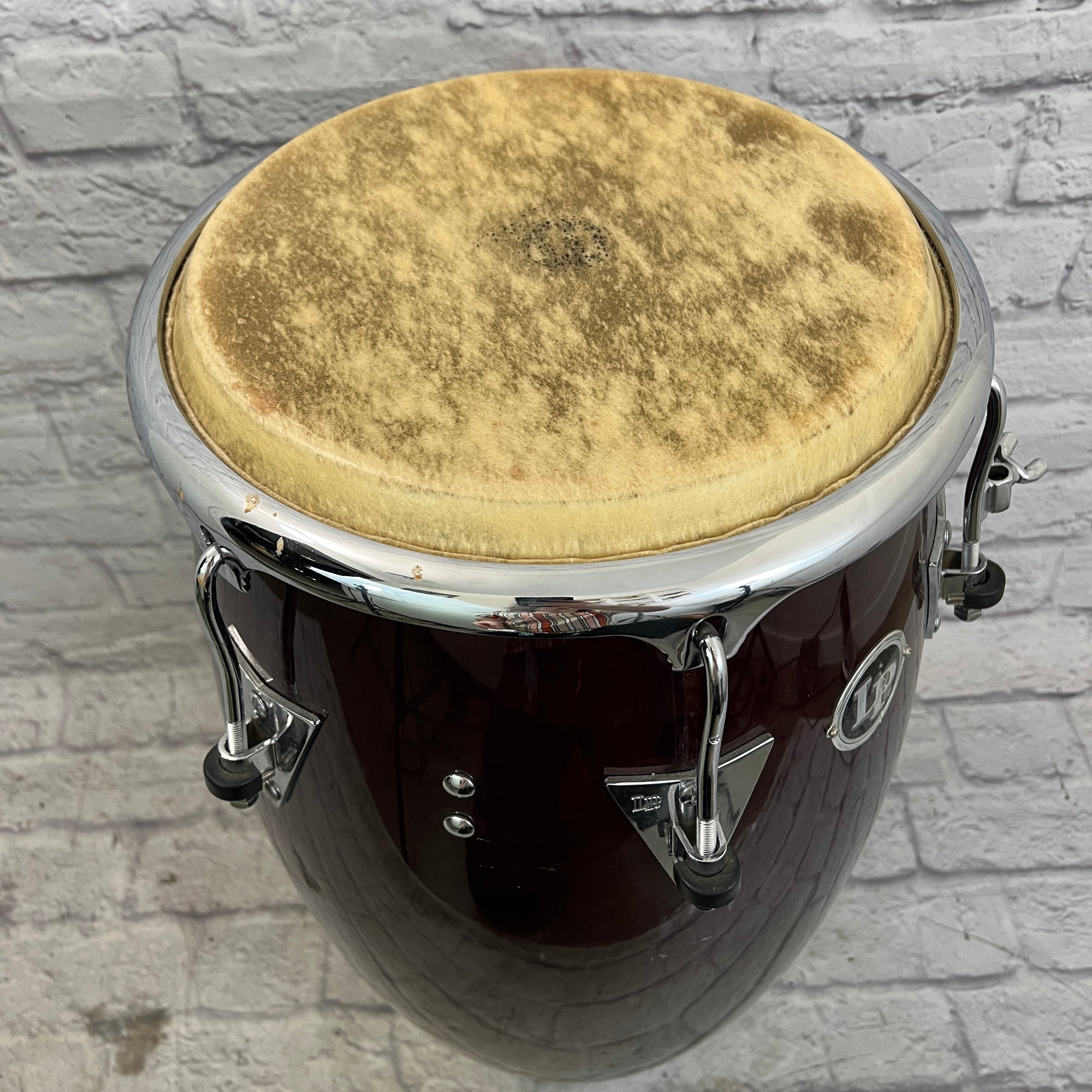 LP Latin Percussion Salsa Model Conga - Evolution Music