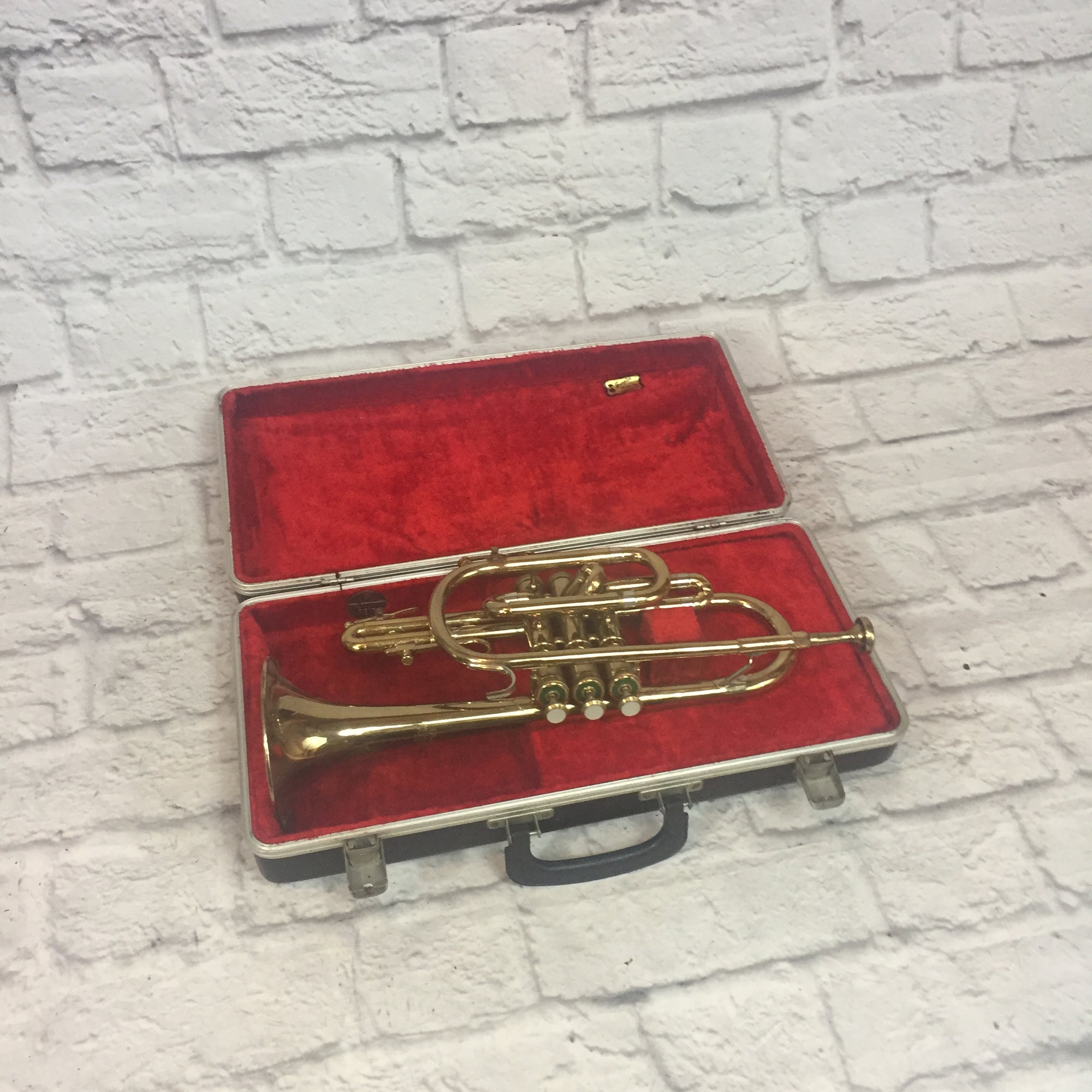 Olds Ambassador Cornet