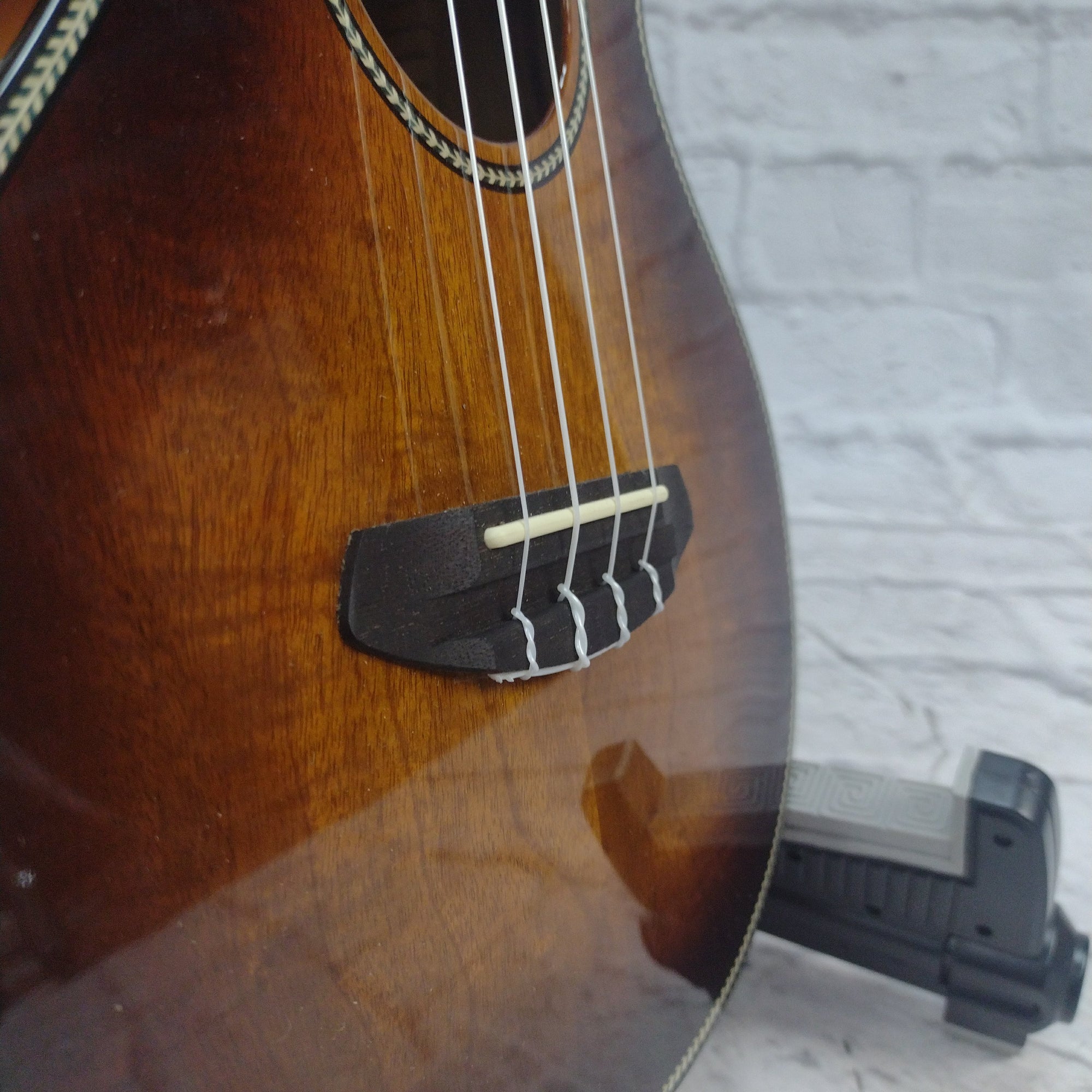 Breedlove Pursuit EX S Tenor TE CE Ukuleles