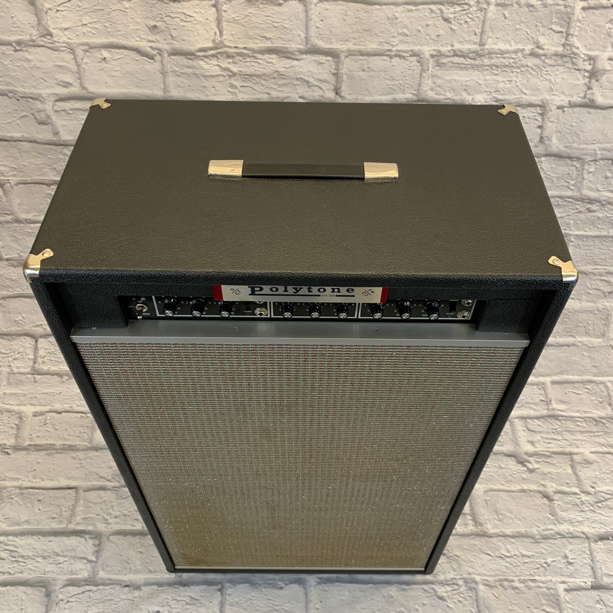 Polytone 215-300 Two Channel Guitar Amp