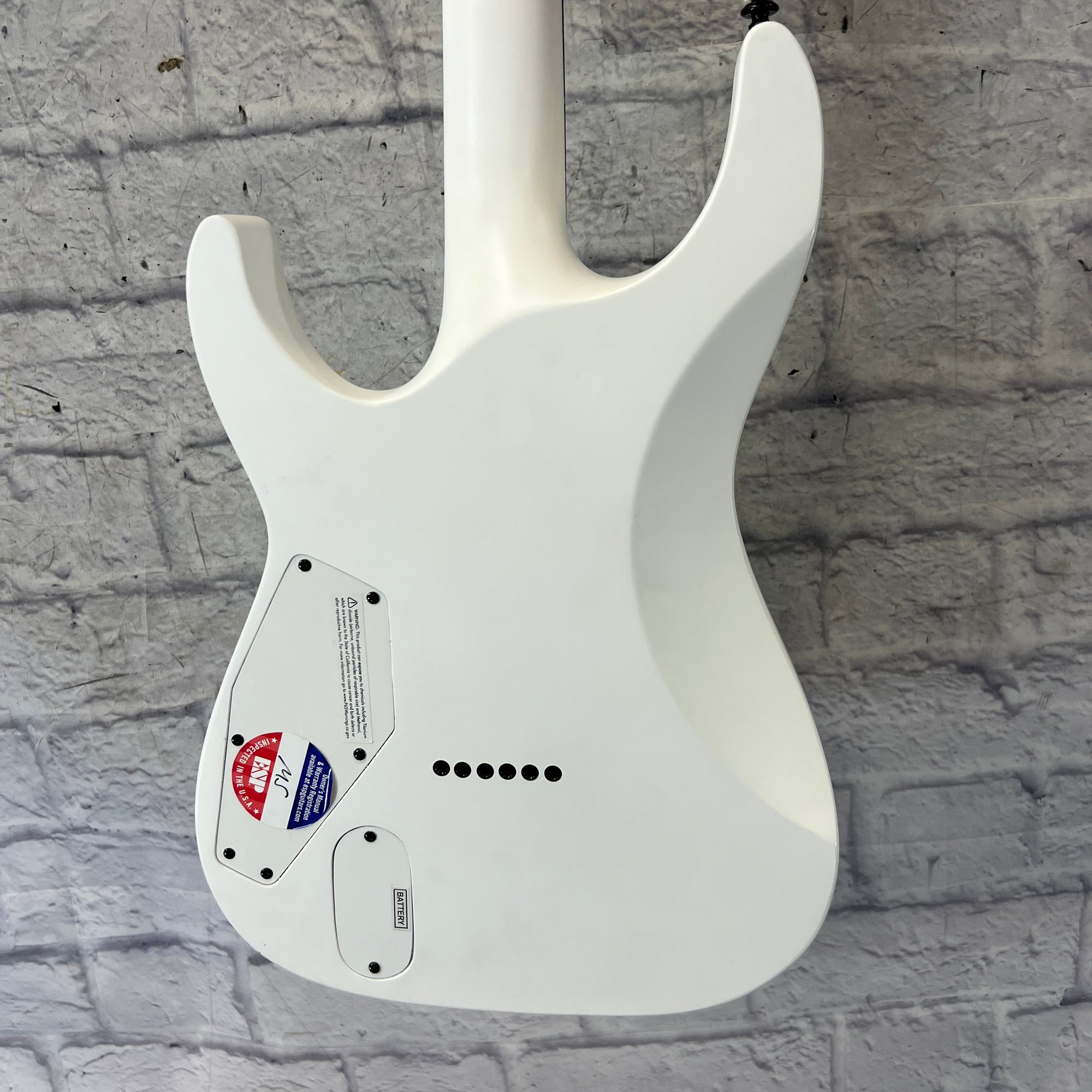 LTD M-HT Arctic Metal Electric Guitar
