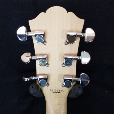 Washburn WI14 Electric Guitar