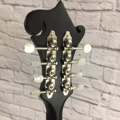 Loar LM310F F Style Mandolin