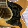 Eleca Cutaway Acoustic Electric Guitar