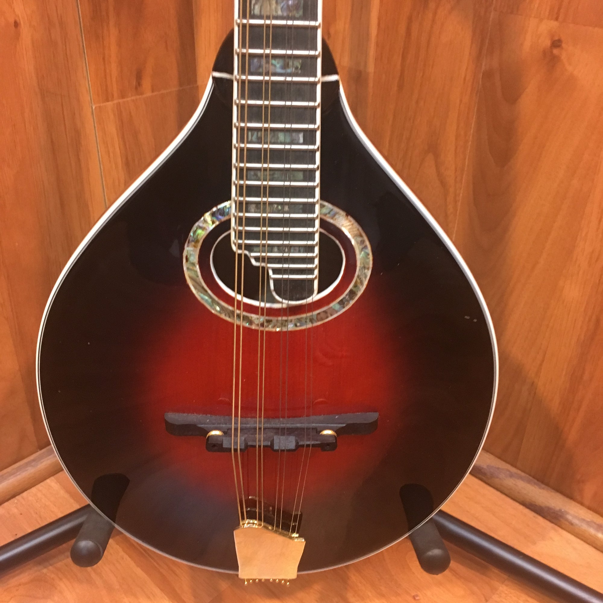 Michael Kelly AO A Mandolin