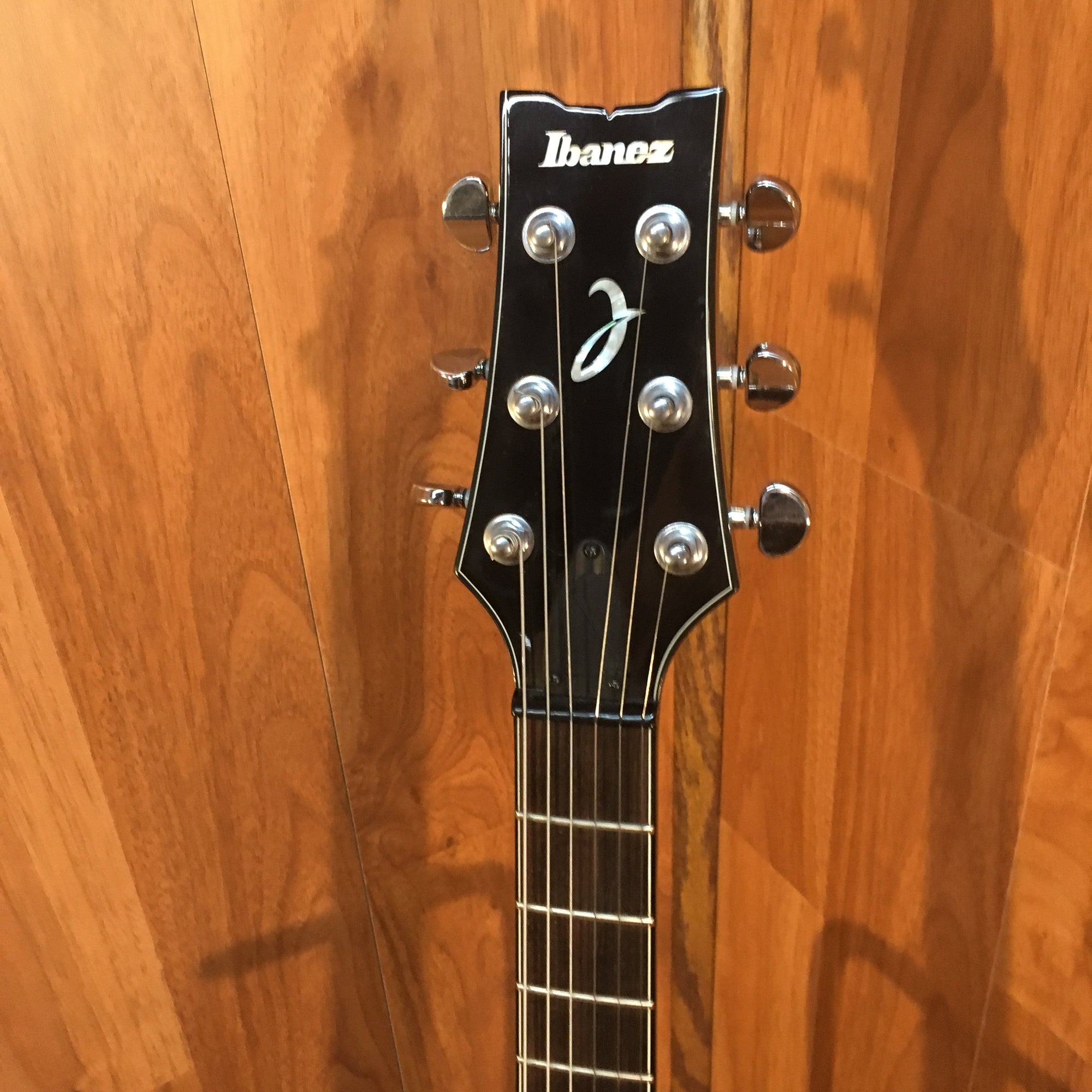 Ibanez J Series Electric Guitar