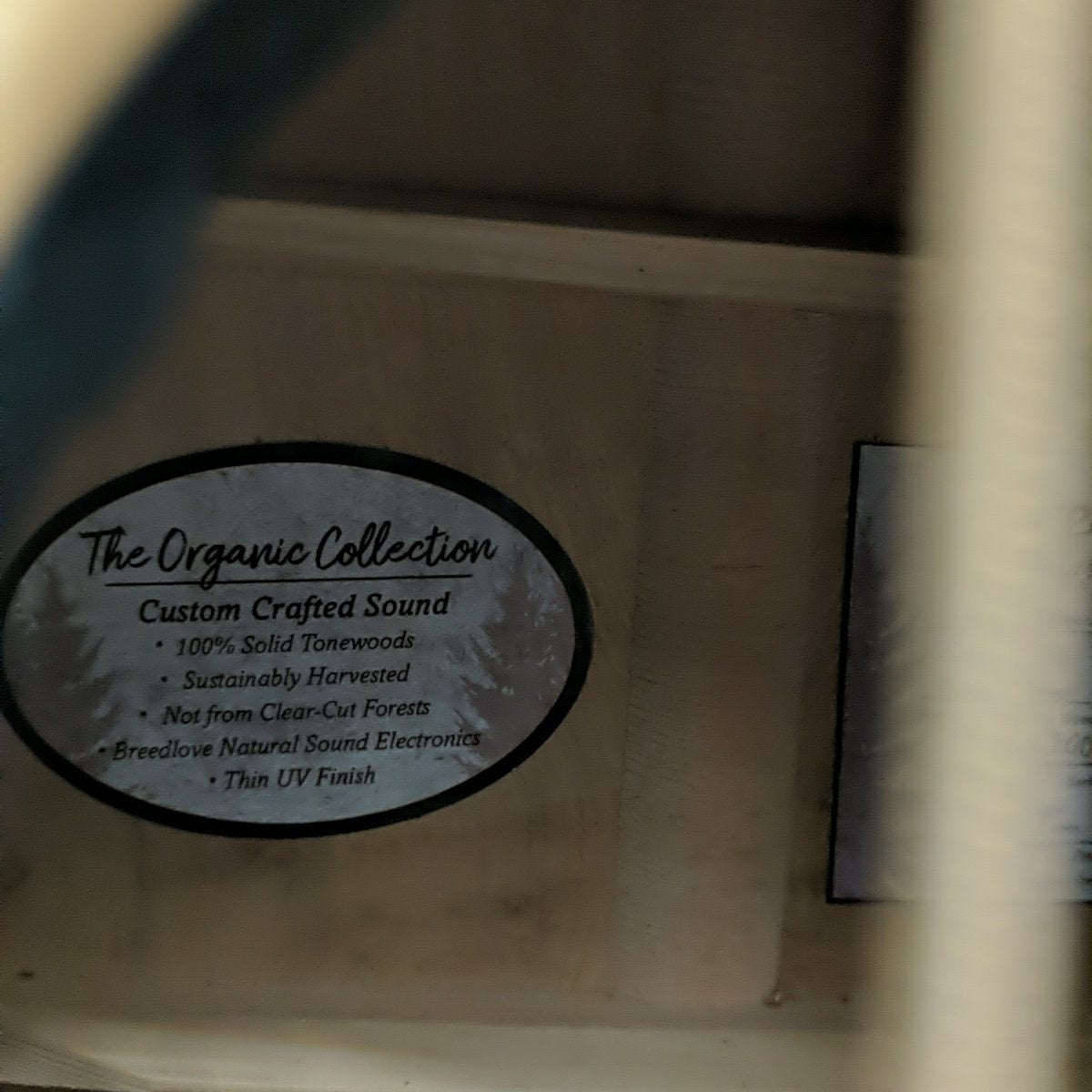 Breedlove Artista Concerto CE Acoustic Electric Guitar - Natural Shadow