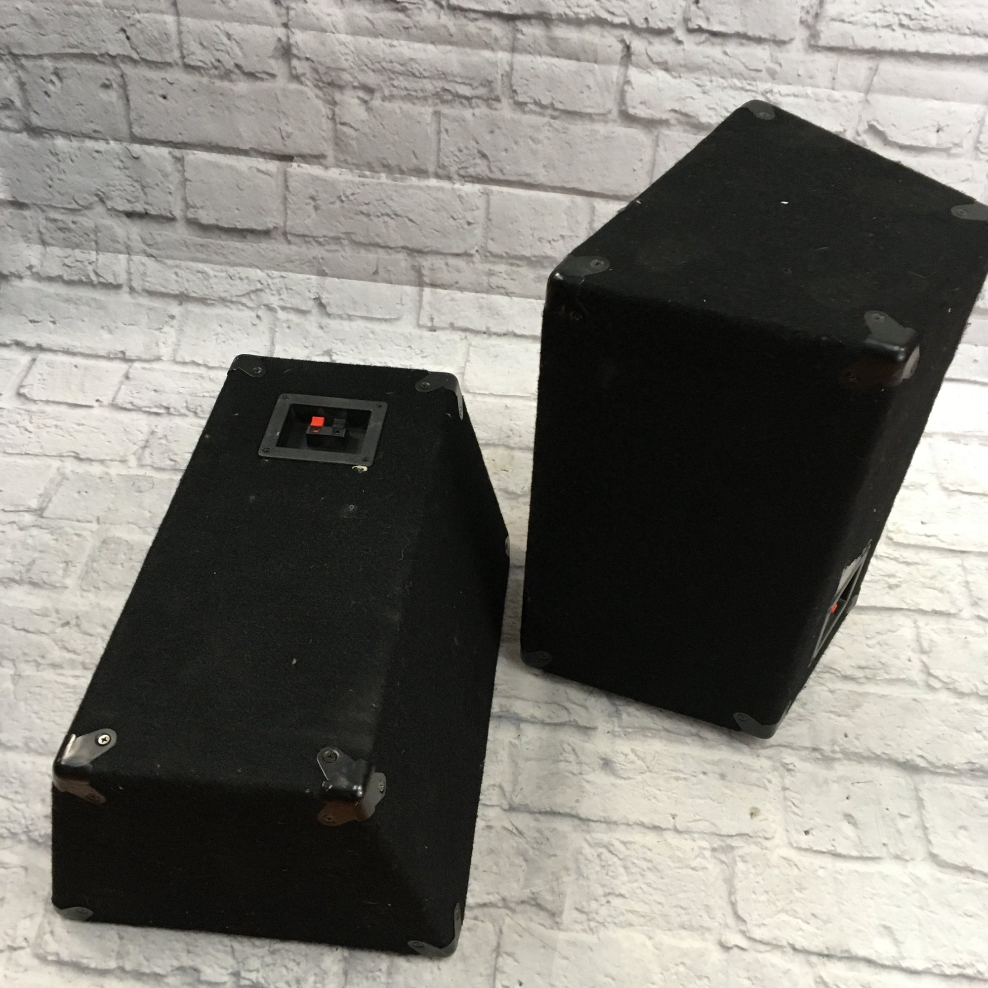 Unknown Black Passive PA Pair