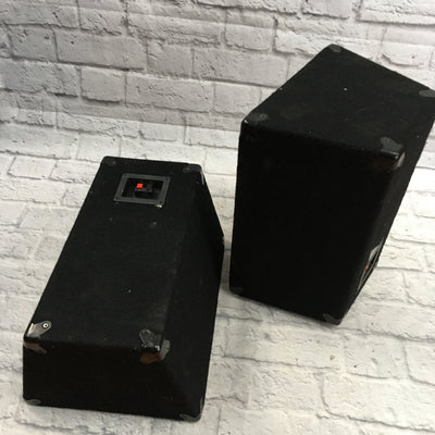 Unknown Black Passive PA Pair