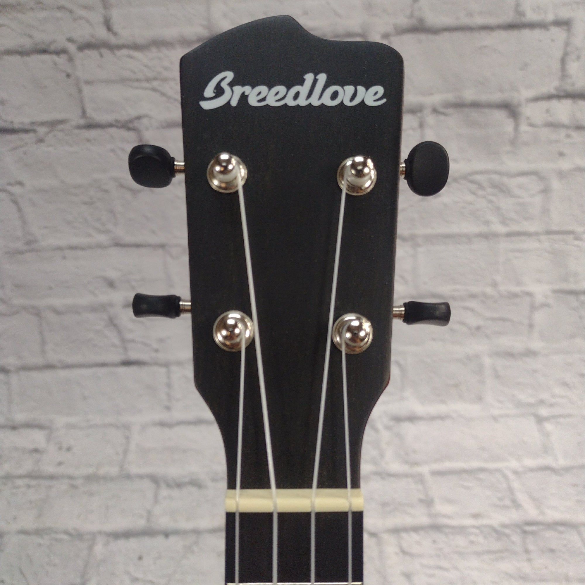 Breedlove EX S Concert BO CE Ukulele