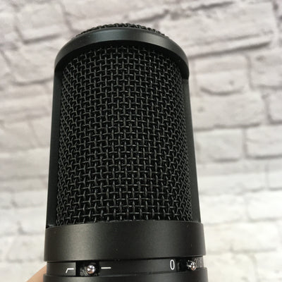 AKG Perception P120 Condenser Microphone