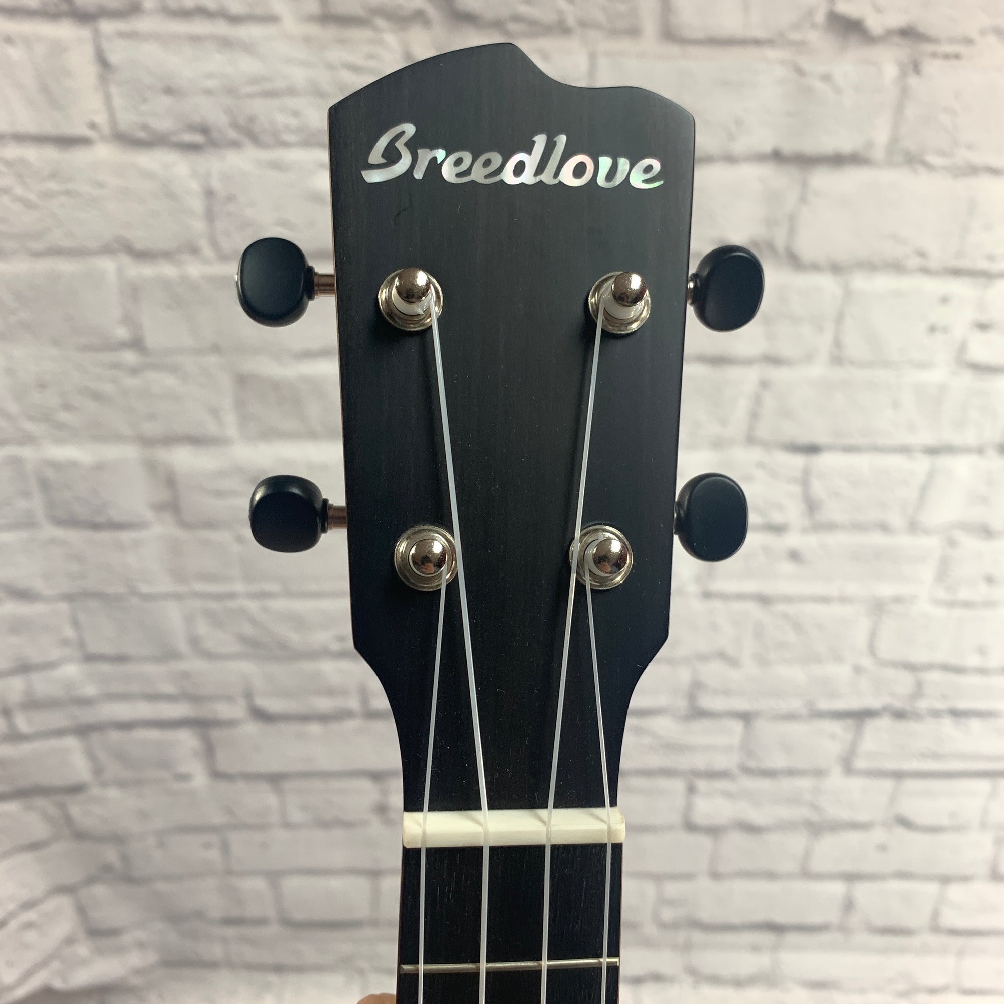 Breedlove Pursuit Ex CU BO Ukulele