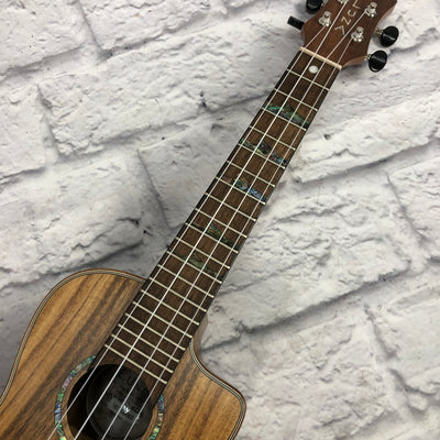 Luna HTC Koa Concert Ukulele