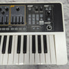 Roland SH-01 Gaia 37-Key Digital Synthesizer