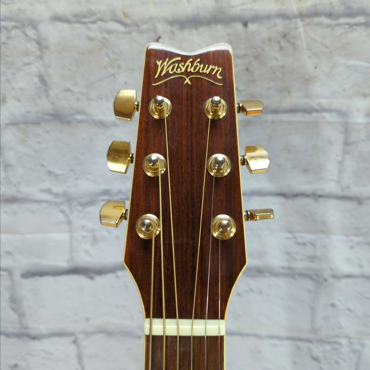 Washburn D 10N Acoustic Guitar