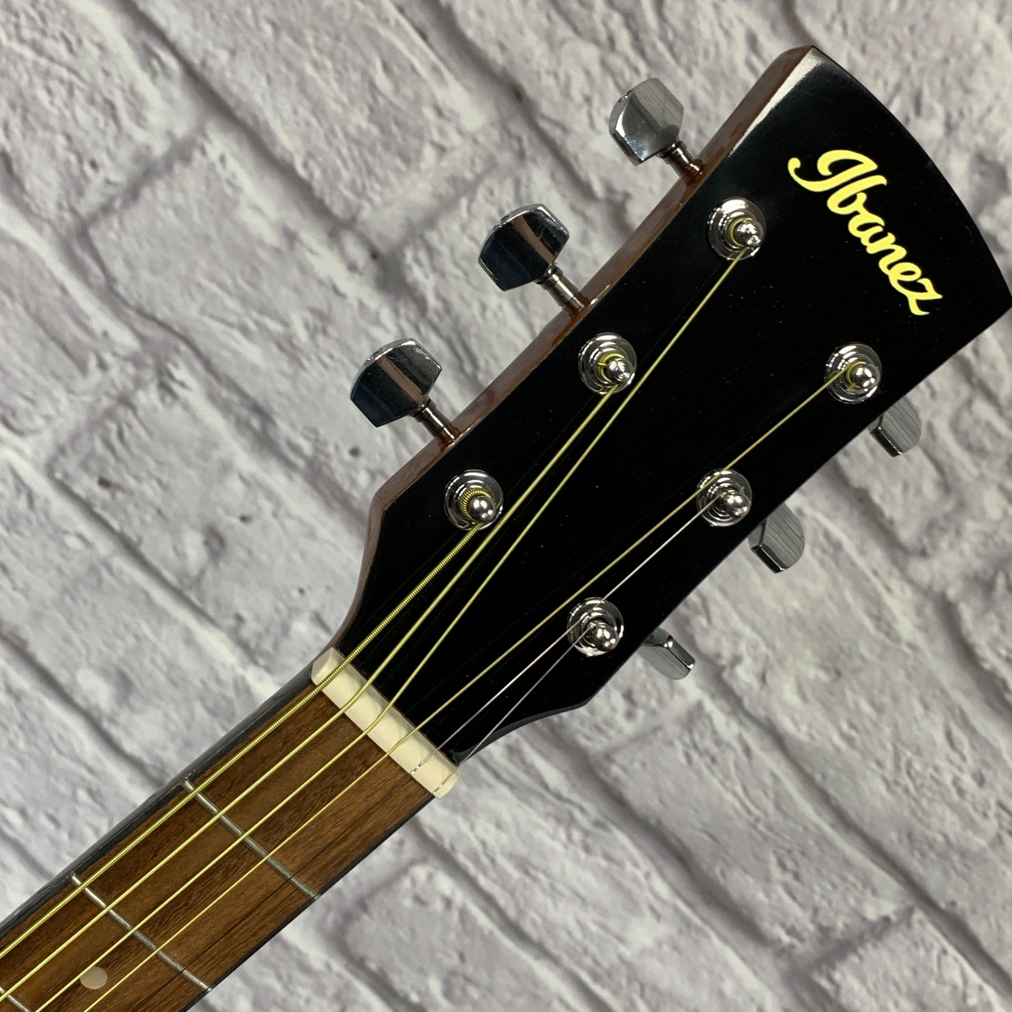 Ibanez PDR10 NT Acoustic Guitar Natural