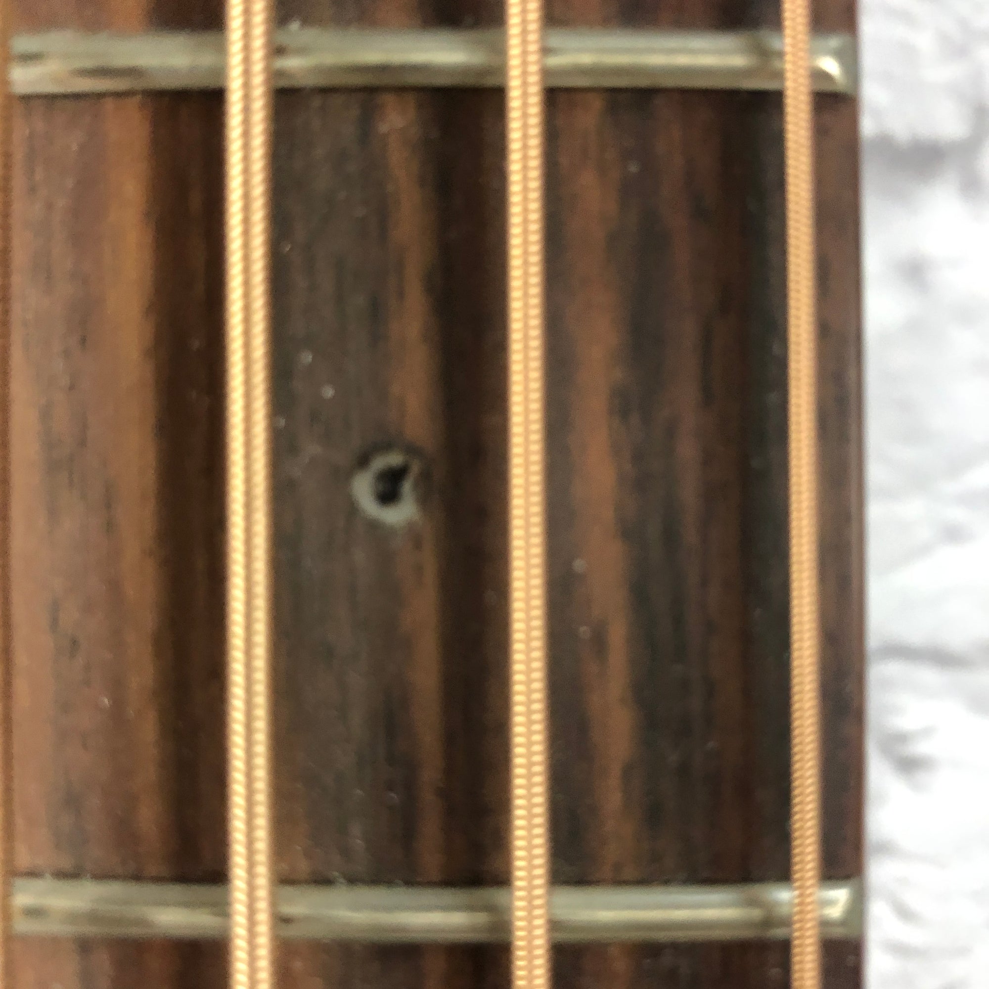 Ibanez PCBE12ME Acoustic Electric Bass