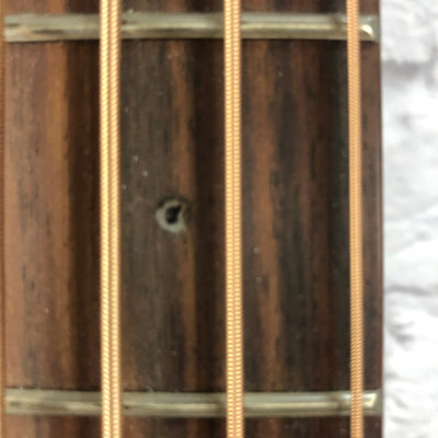 Ibanez PCBE12ME Acoustic Electric Bass