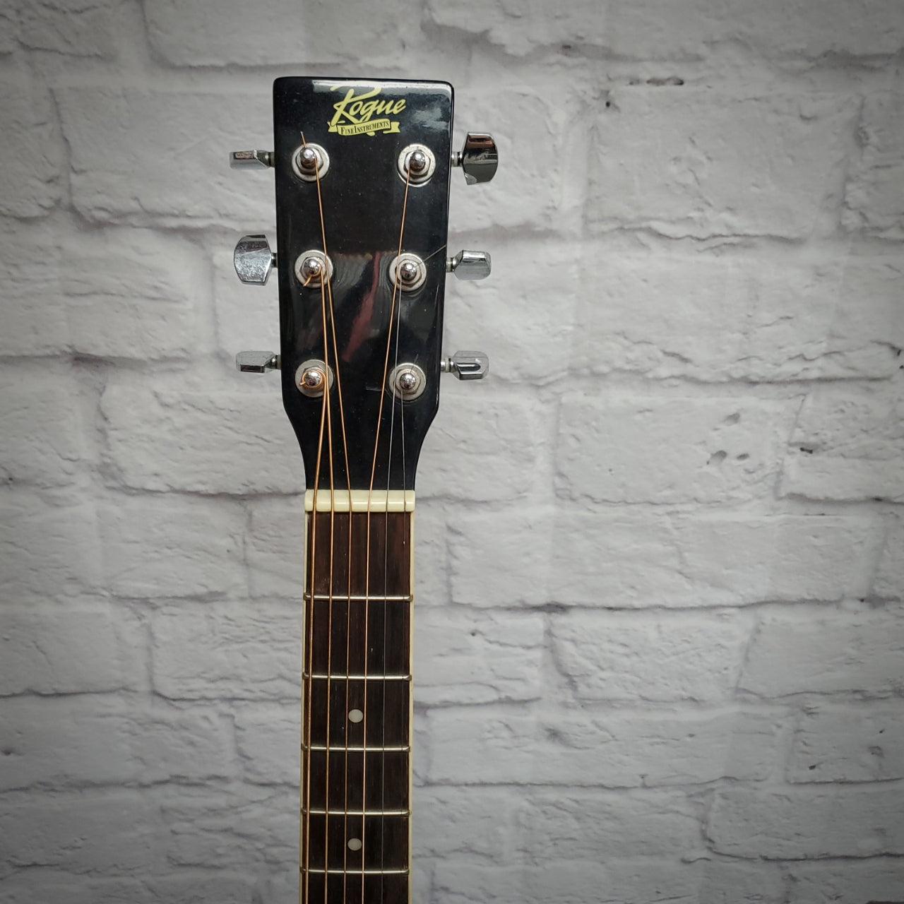 Rogue RA-100D Acoustic Guitar Black
