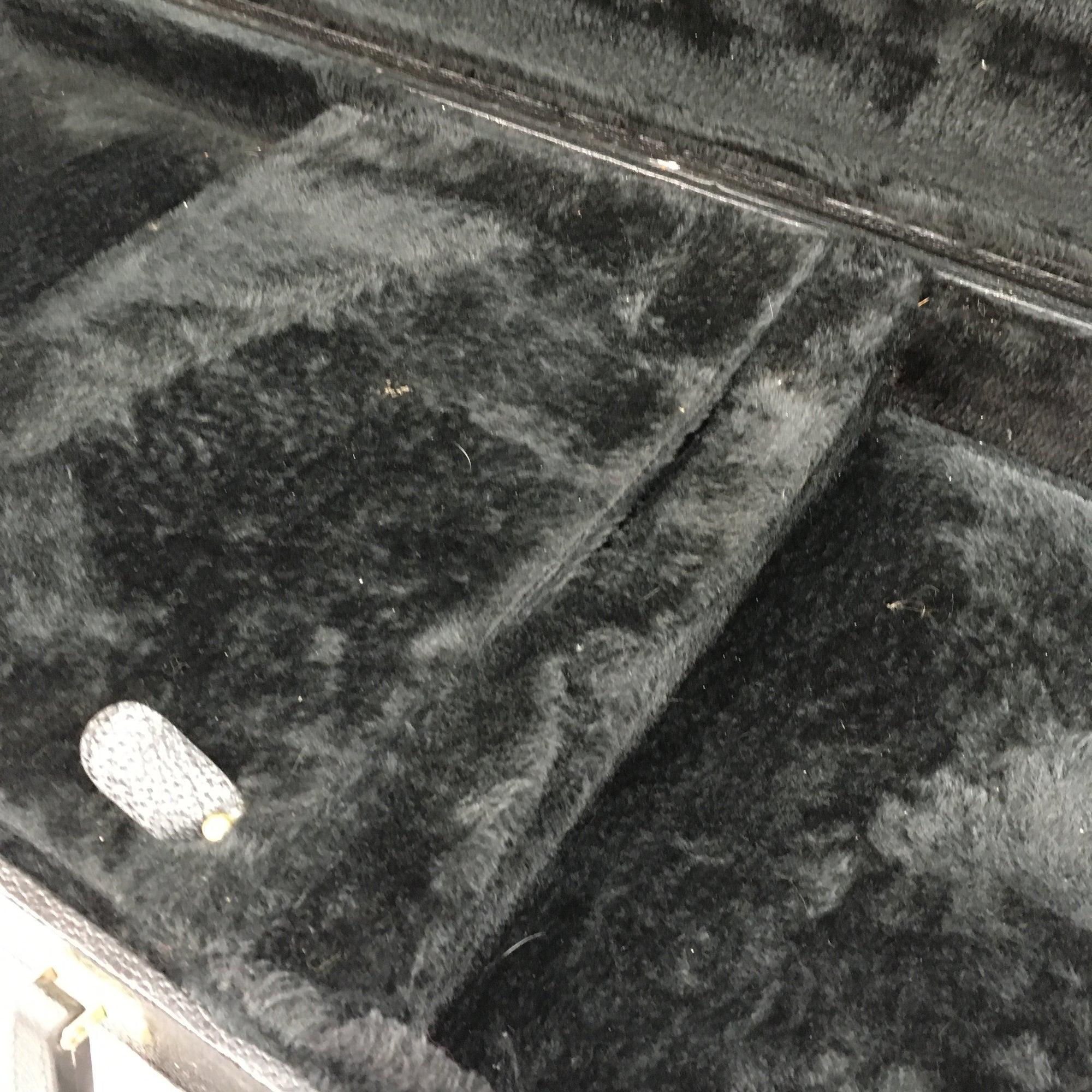 Unknown Black Hardshell Bass Case