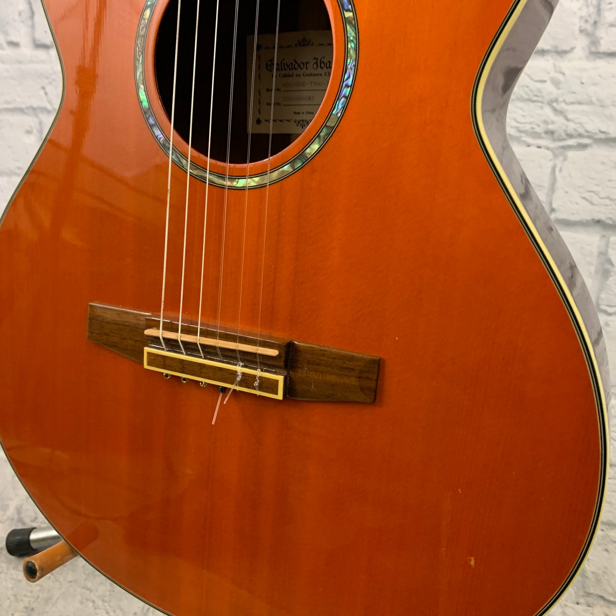 Salvador Ibanez AEG10NE Classical Acoustic-Electric Guitar