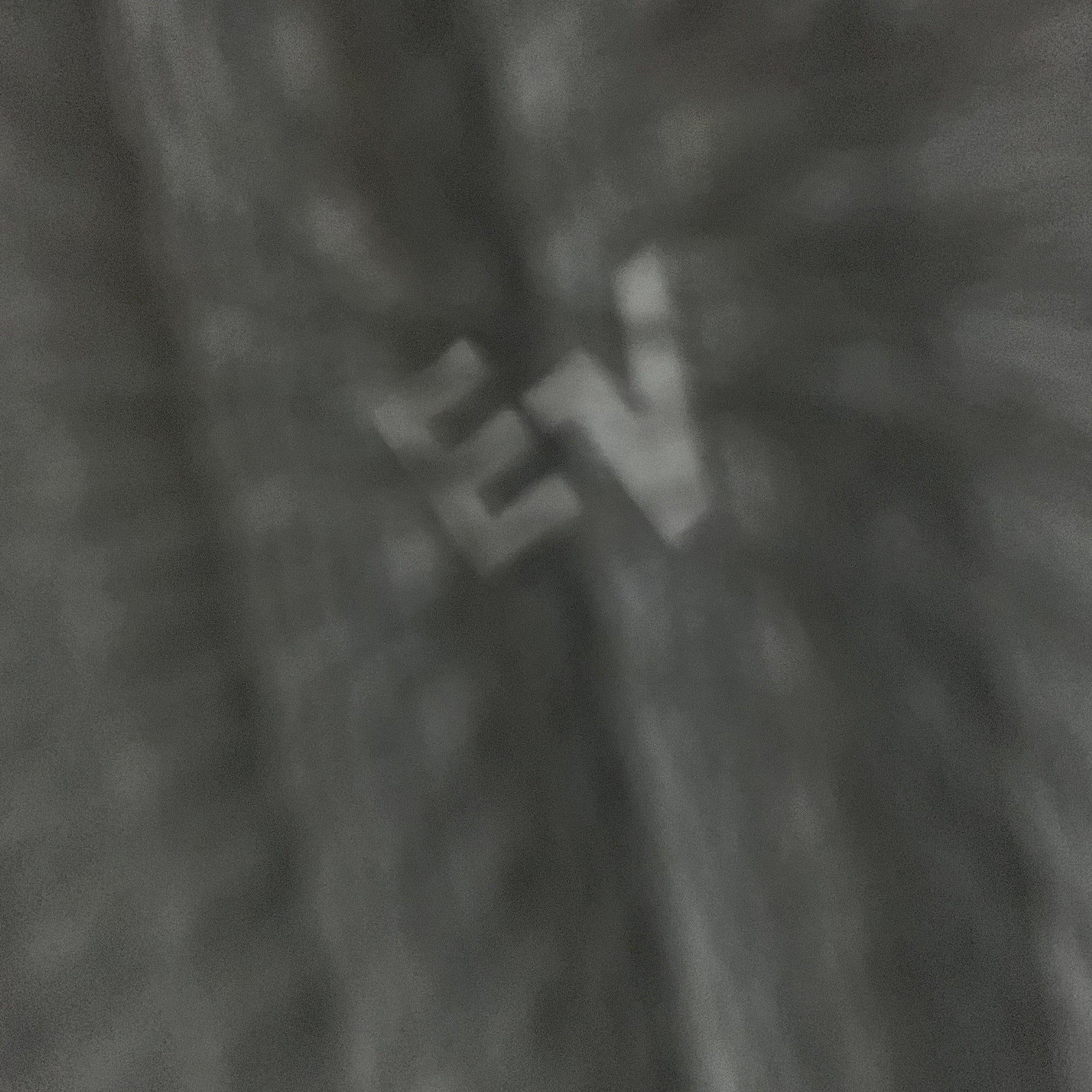 Unknown Wedge Stage Passive Monitor with EV Speaker