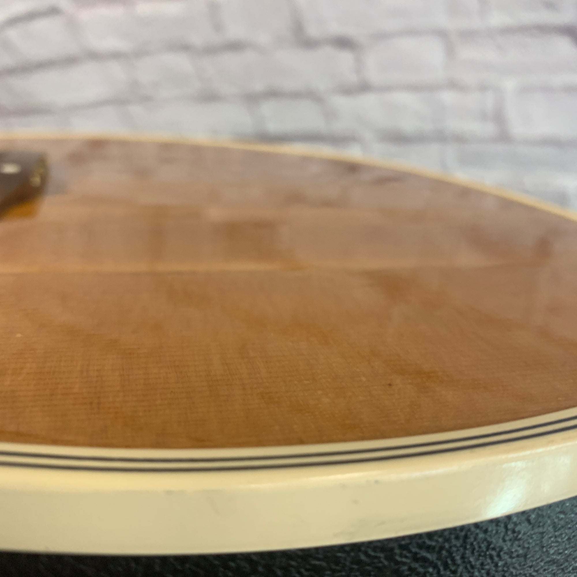 Vintage Applause AA14-4 Acoustic Guitar