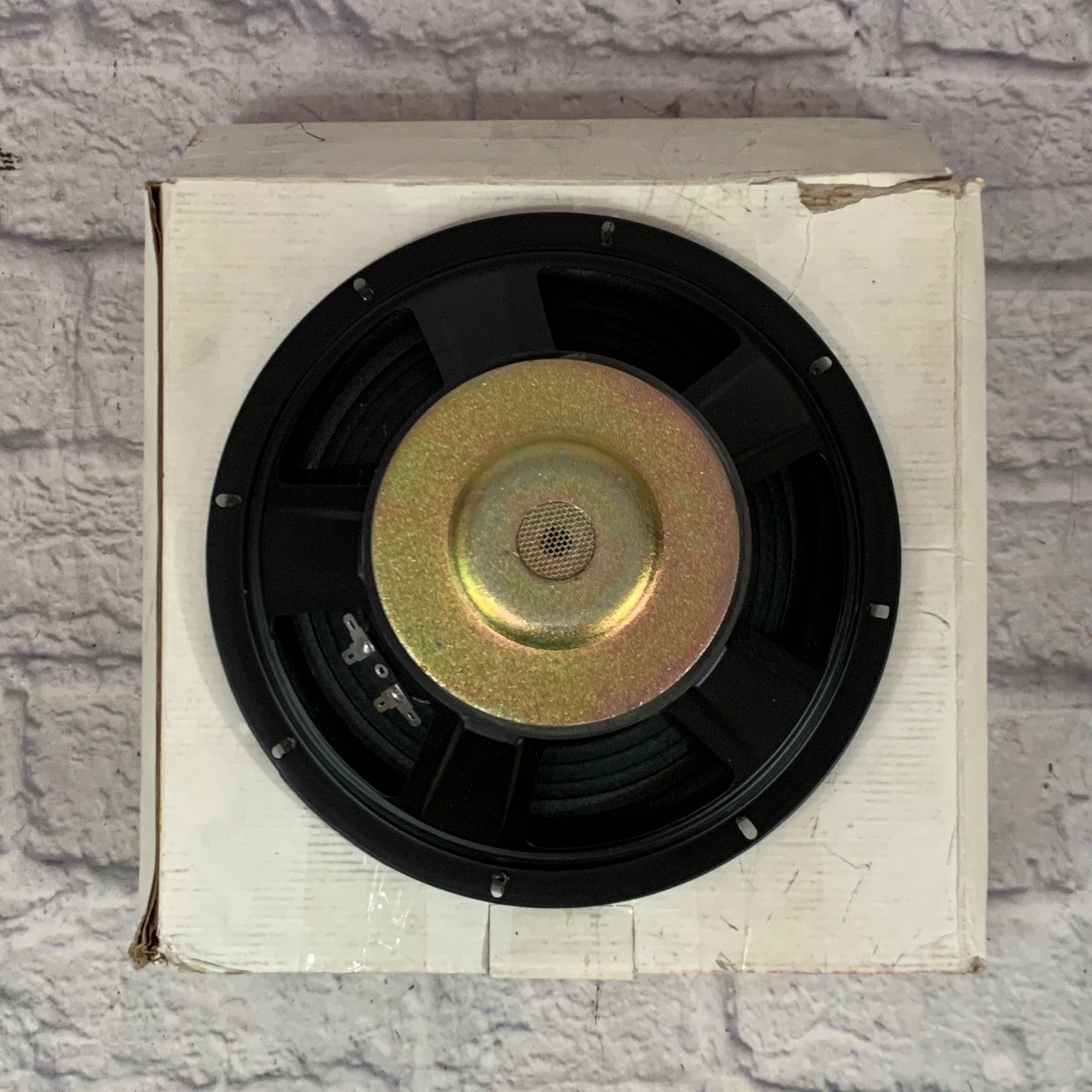 Unknown Chinese 10 Inch Speaker