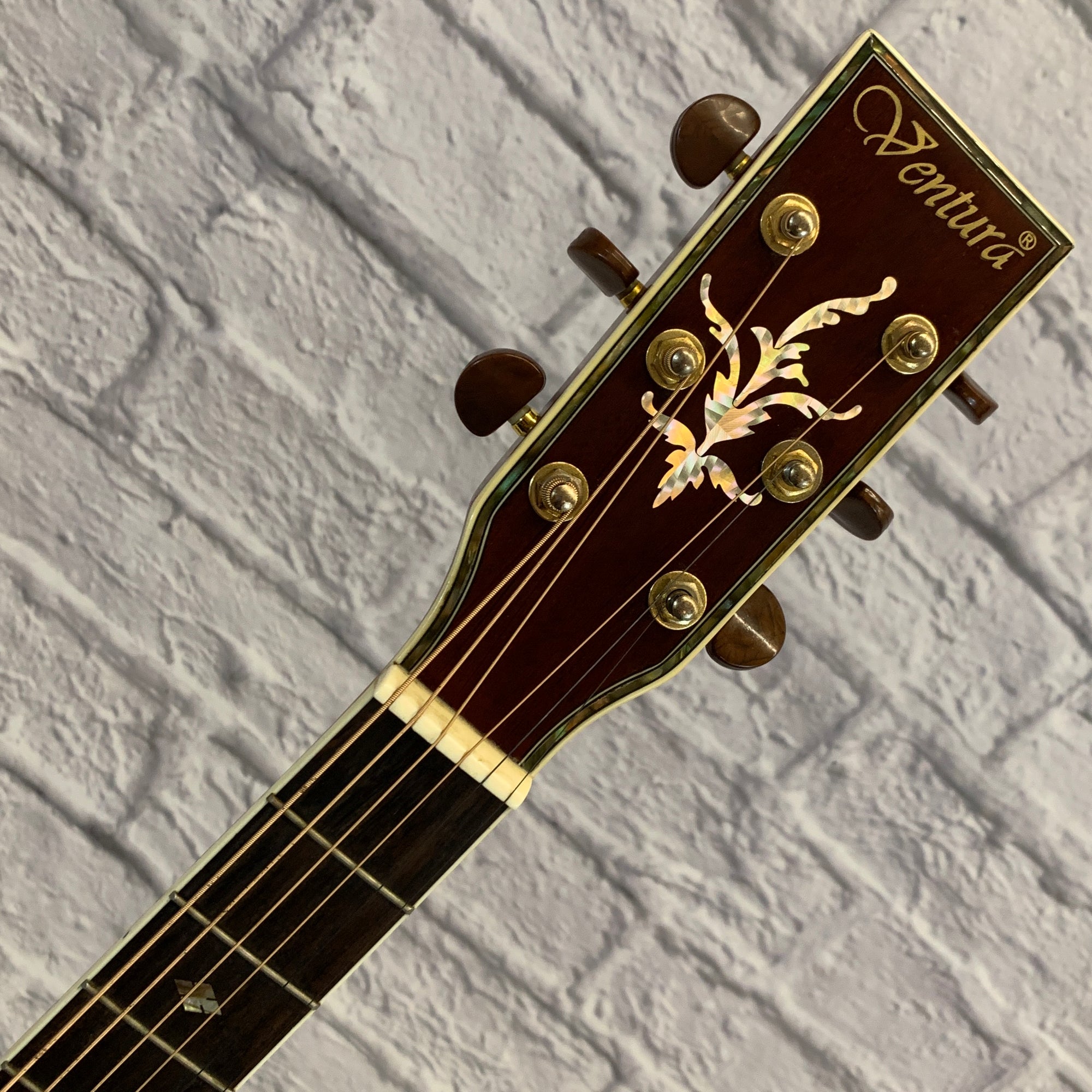 Ventura V6NAT Acoustic Guitar Natural