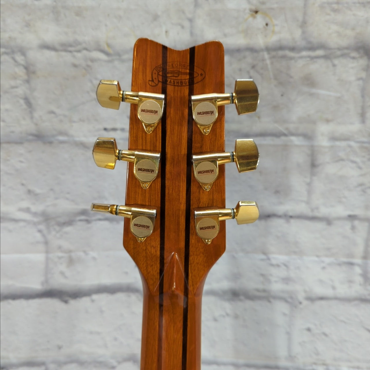 Washburn D 10N Acoustic Guitar