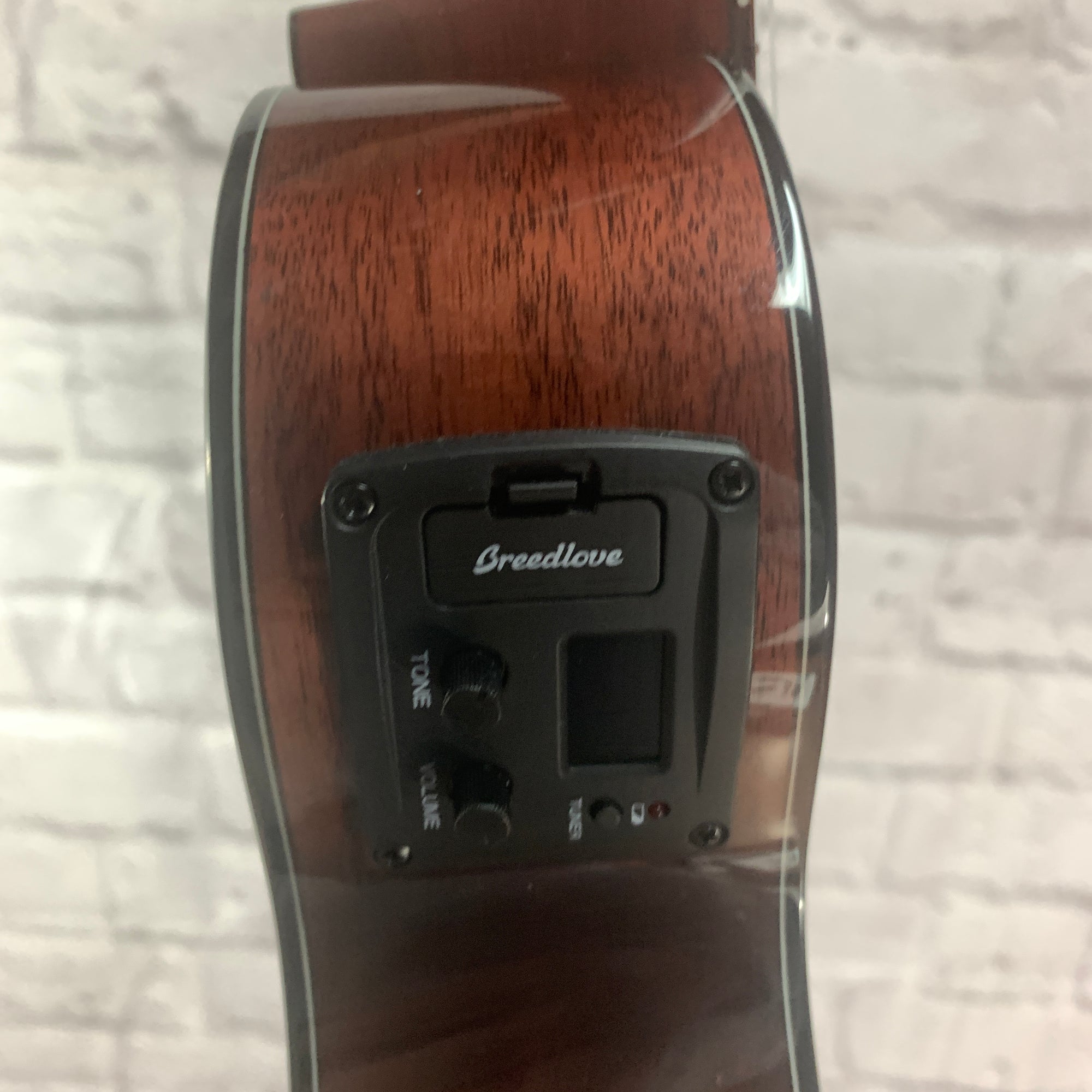 Breedlove Pursuit EX CU CEBC2