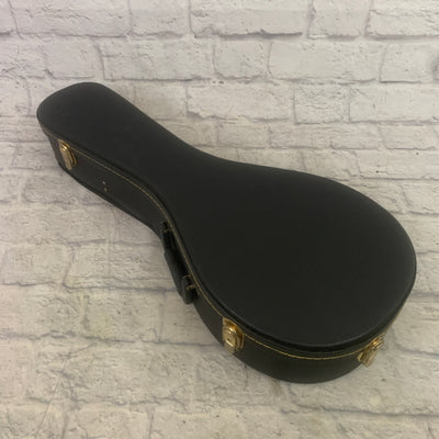 Unknown Mandolin Case Mandolin Case