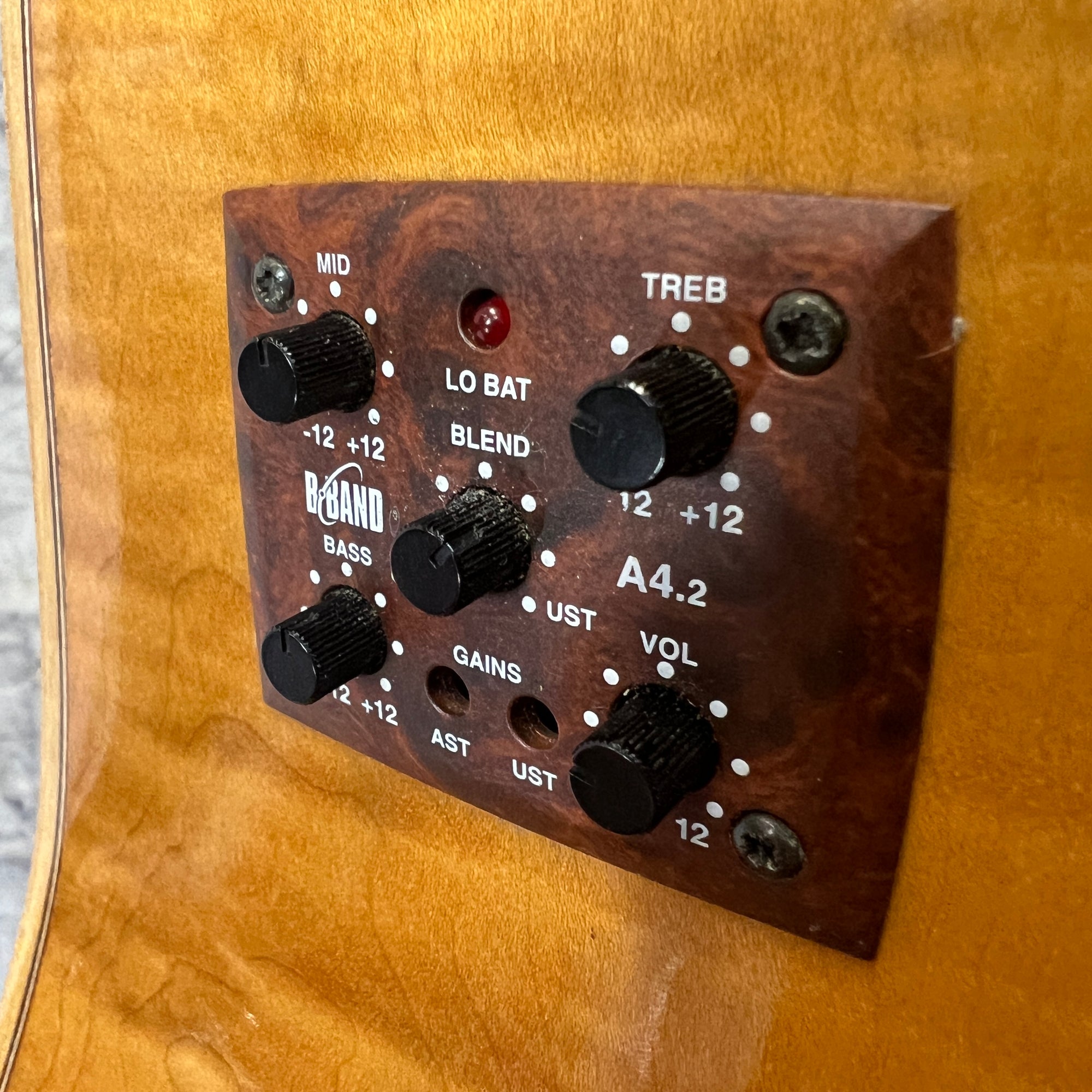 Simon & Patrick S&P SC FLM CW Acoustic Guitar