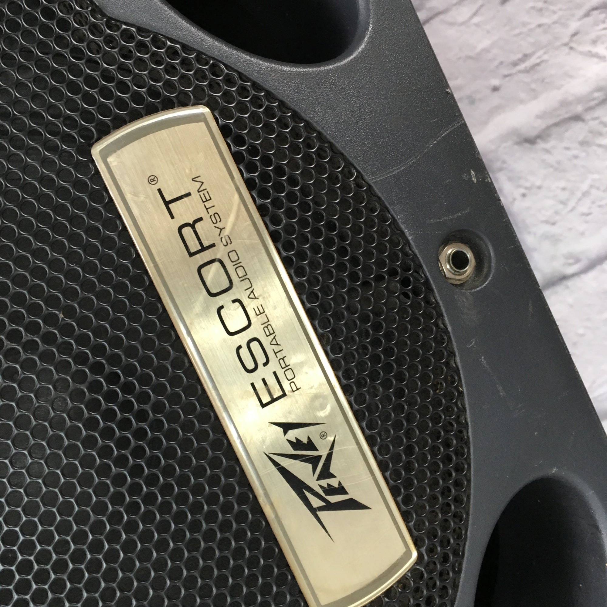 Peavey Encore Speaker Pair Only